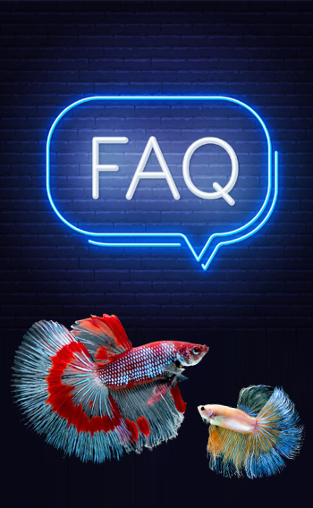 rhoma aquatix faq