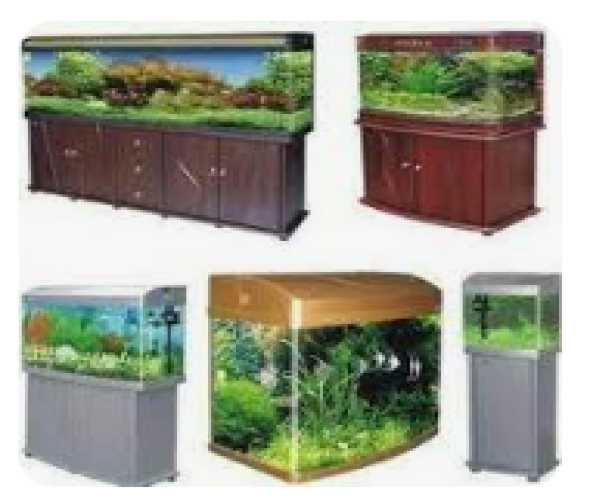 Fish Tanks 